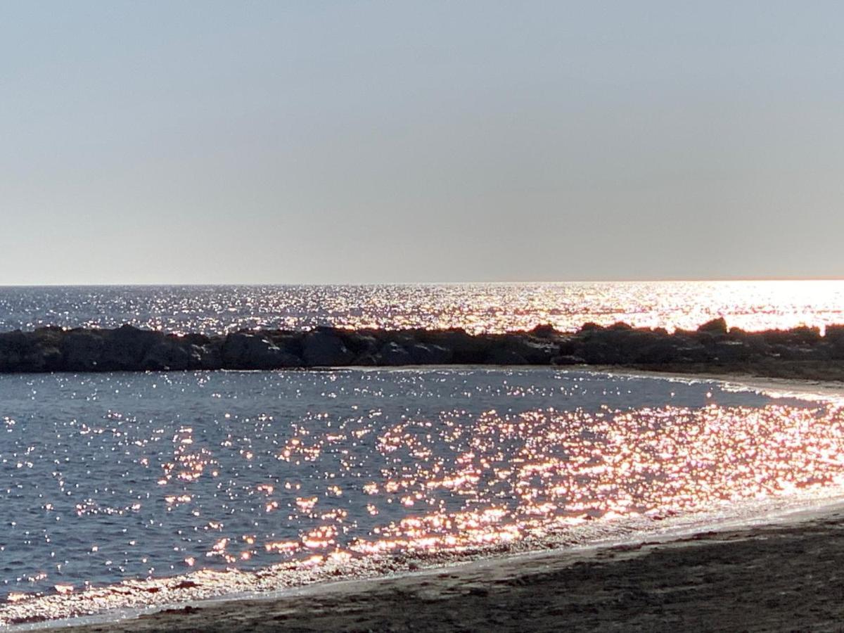 Apartament Plumaria *